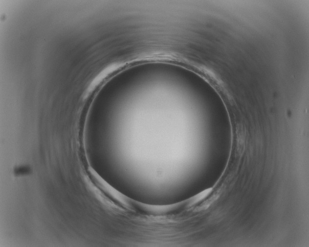 X0000083531422200702161901