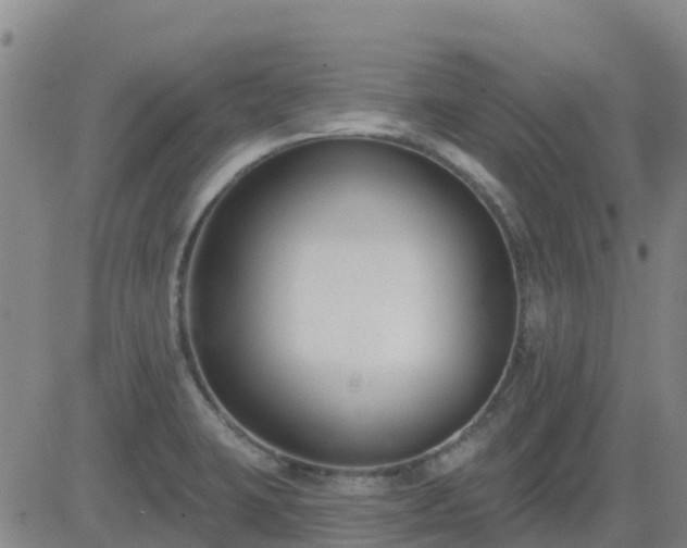 X0000083531423200702161901