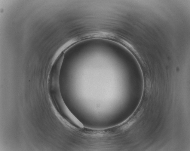 X0000083531426200702161901