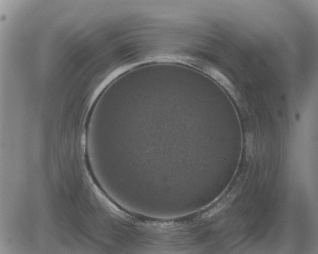 X0000083531428200702161901