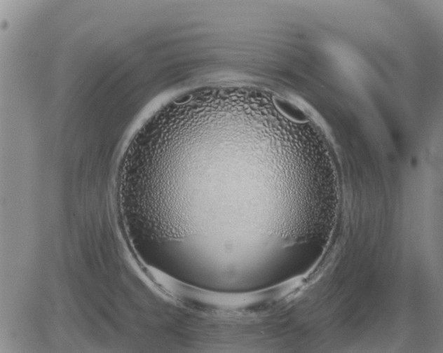 X0000083531429200702161901