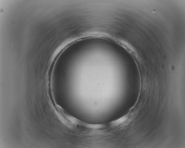 X0000083531430200702161901