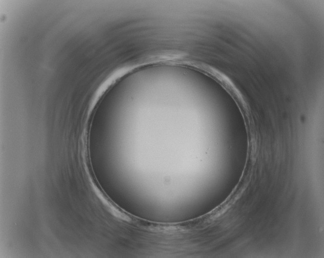 X0000083531432200702161901