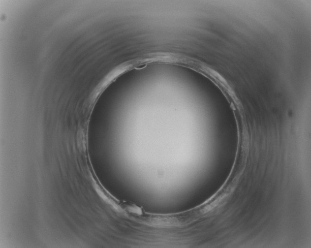 X0000083531433200702161901