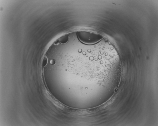 X0000083531435200702161901