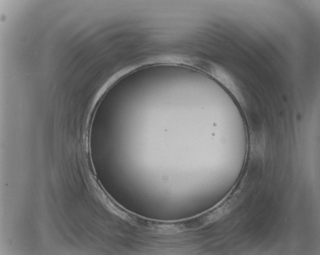 X0000083531436200702161901