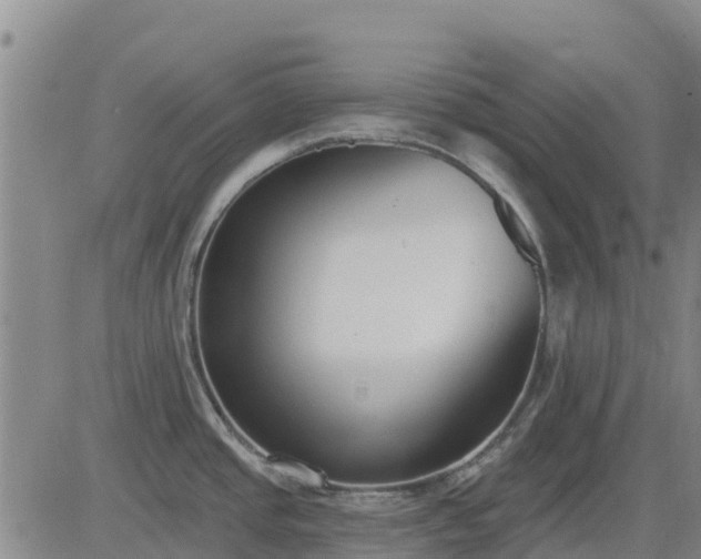 X0000083531437200702161901