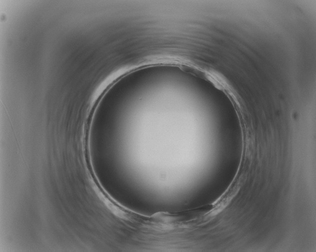 X0000083531438200702161901