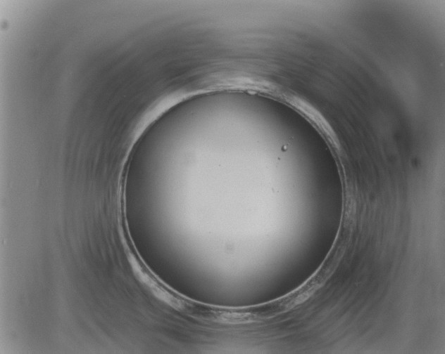 X0000083531439200702161901