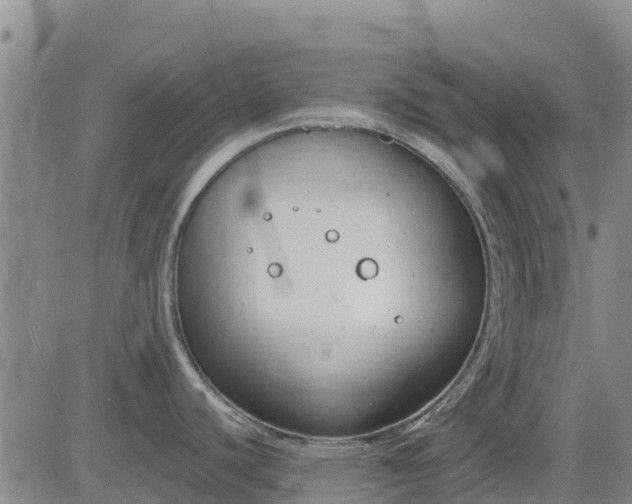 X0000083531440200702161901