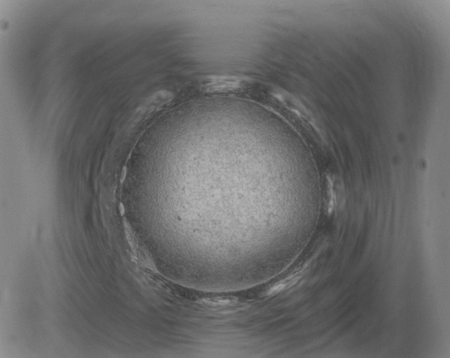 X0000083531441200702161900