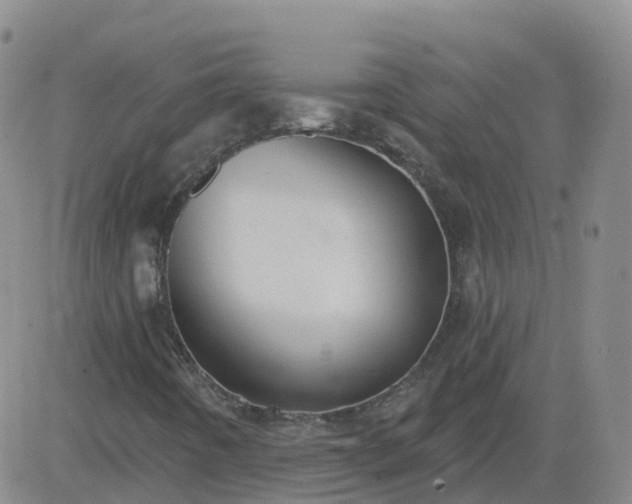 X0000083531442200702161900