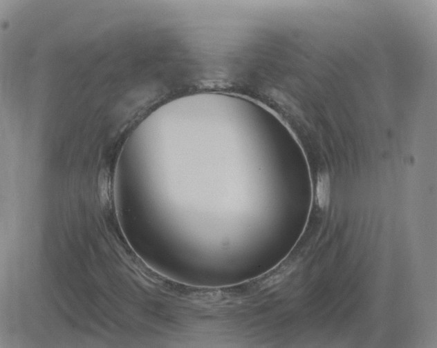 X0000083531444200702161900