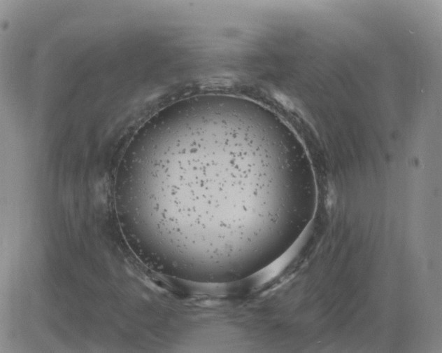 X0000083531445200702161900