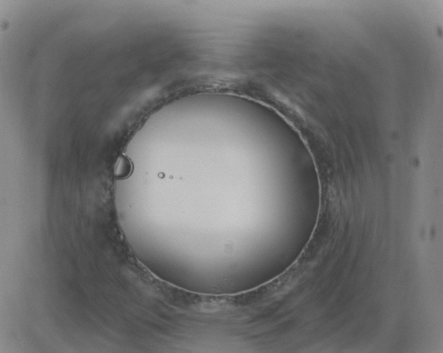 X0000083531447200702161900