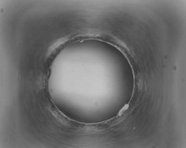 X0000083531448200702161900