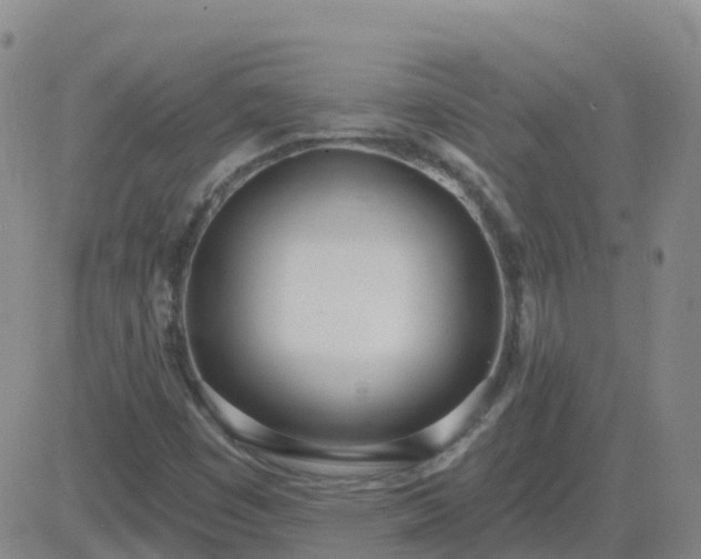 X0000083531449200702161900