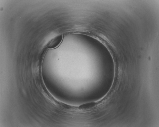 X0000083531450200702161900