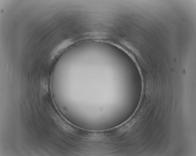 X0000083531451200702161900