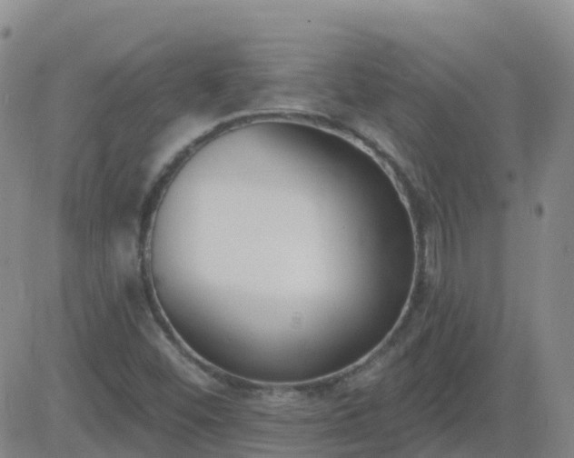 X0000083531452200702161900