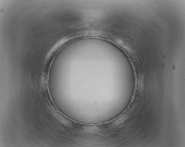 X0000083531454200702161900