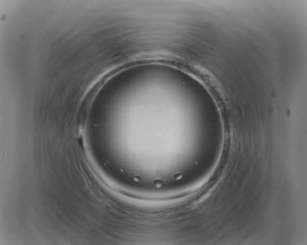 X0000083531457200702161900