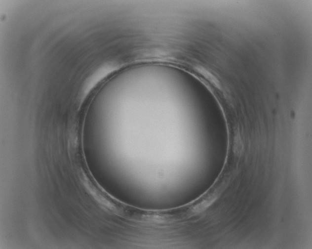 X0000083531458200702161900