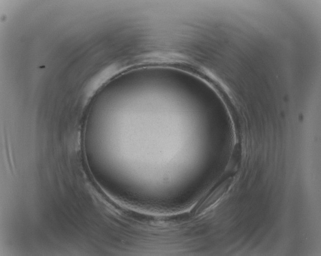 X0000083531459200702161900