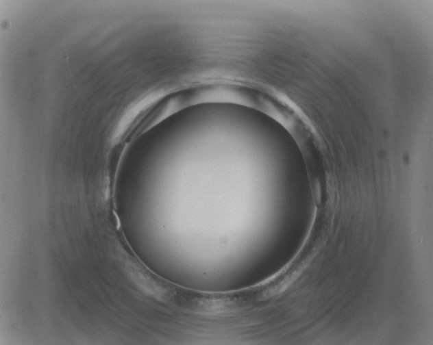 X0000083531461200702161900