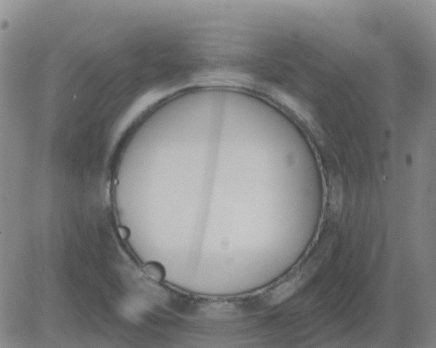 X0000083531462200702161900