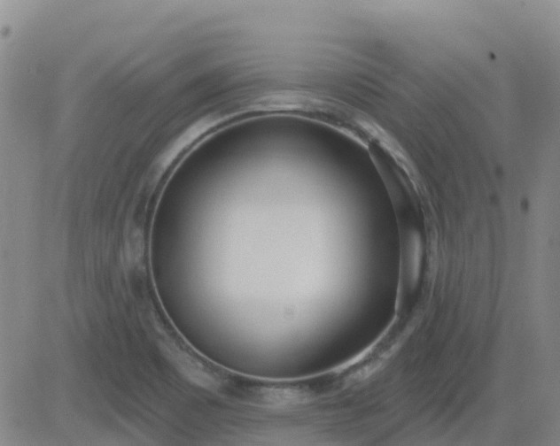 X0000083531465200702161900