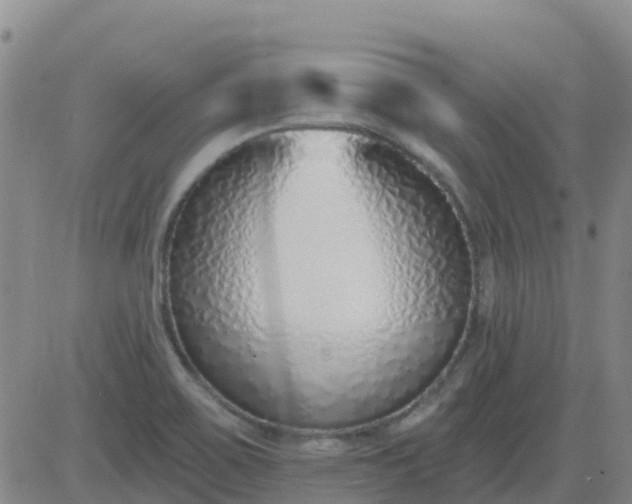 X0000083531467200702161900