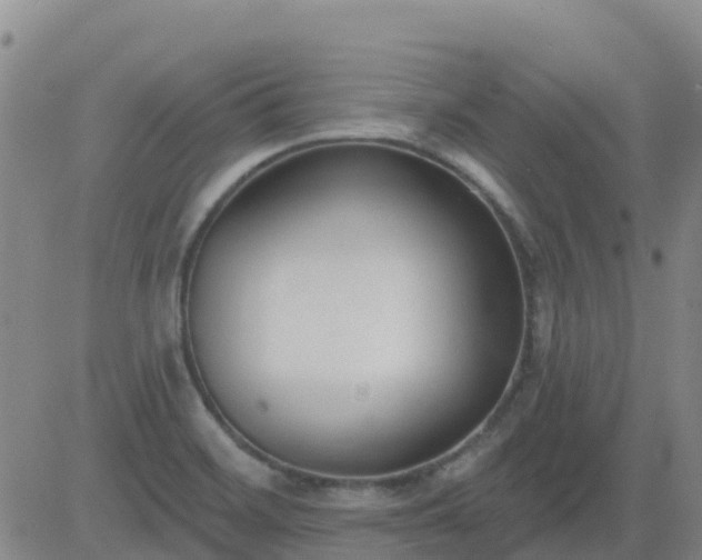 X0000083531468200702161900