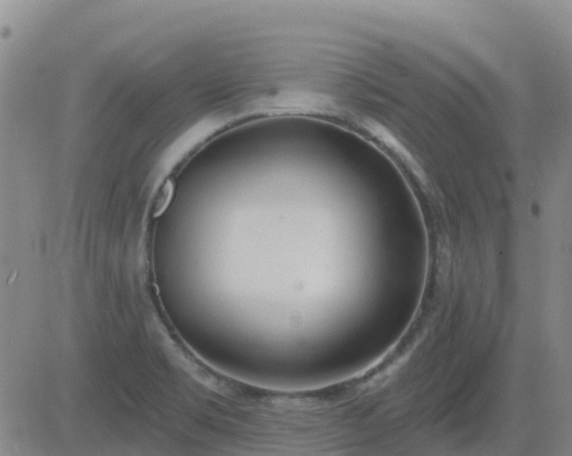 X0000083531469200702161900