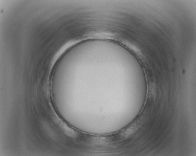 X0000083531470200702161900