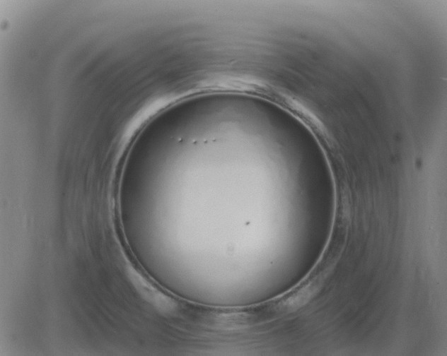 X0000083531471200702161900