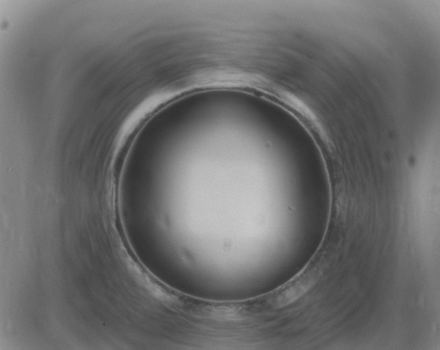 X0000083531472200702161900