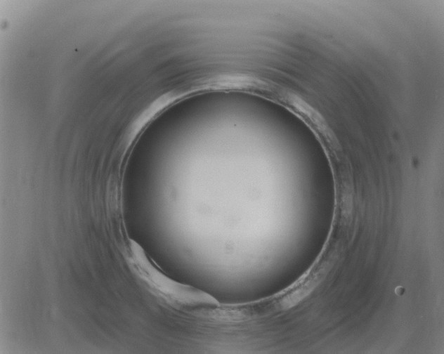 X0000083531473200702161900