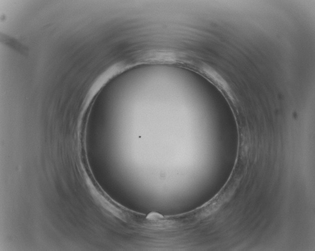 X0000083531475200702161900