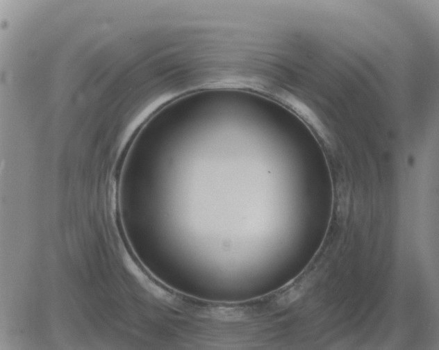 X0000083531476200702161900