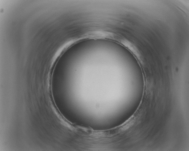 X0000083531477200702161900