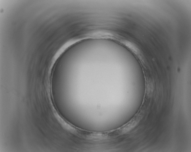 X0000083531478200702161900