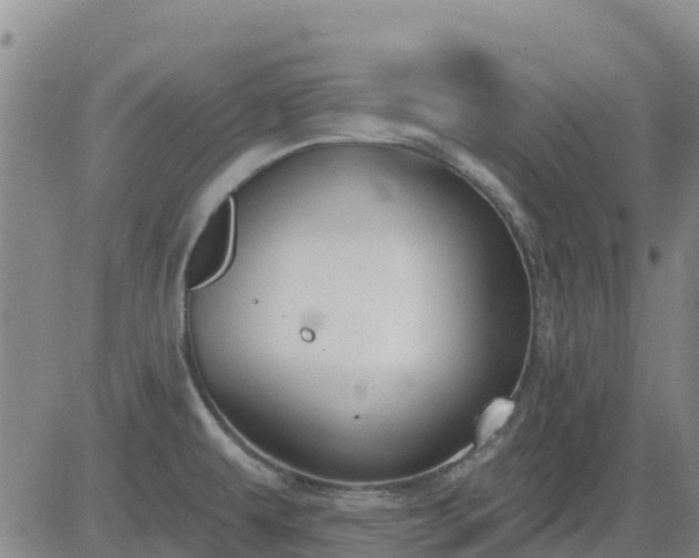 X0000083531479200702161900