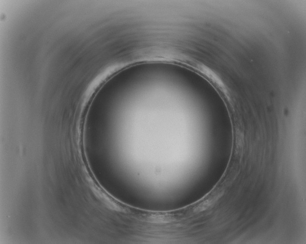 X0000083531480200702161900