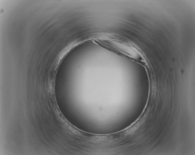 X0000083531481200702161900