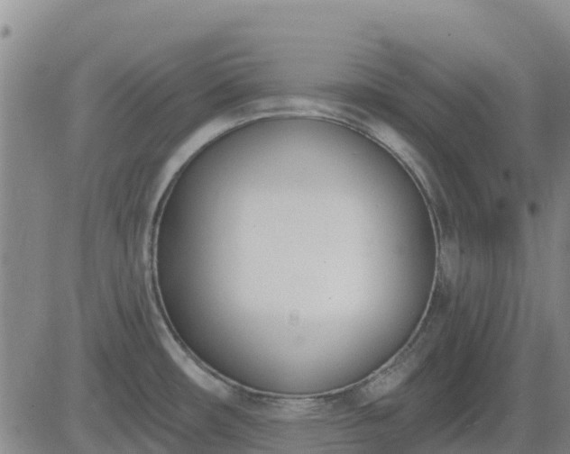 X0000083531482200702161900