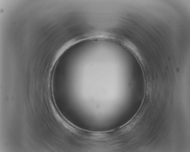 X0000083531483200702161900