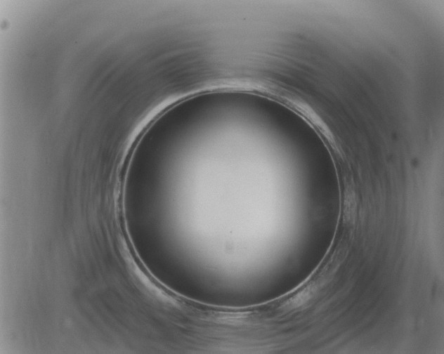 X0000083531484200702161900