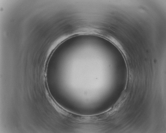 X0000083531485200702161900