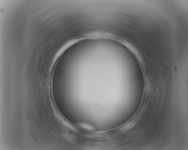 X0000083531486200702161900